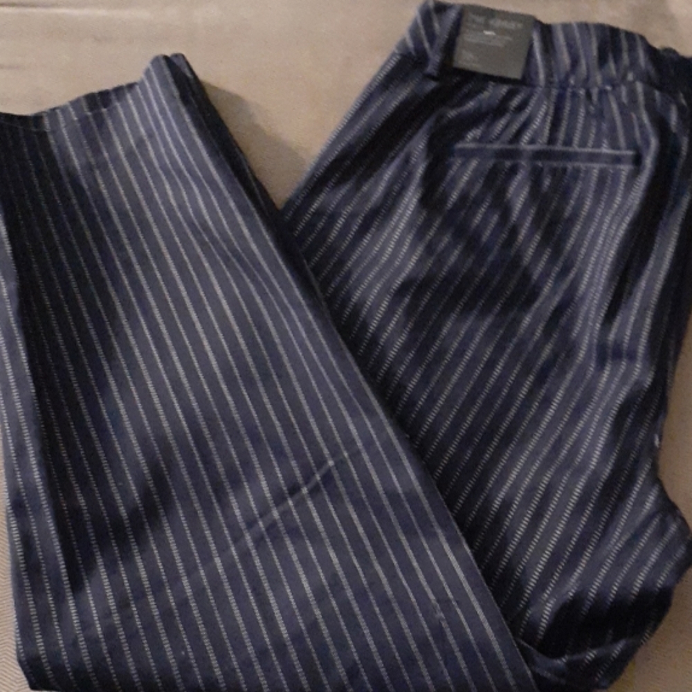 Lane Bryant modernist Ashley striped pants skinny